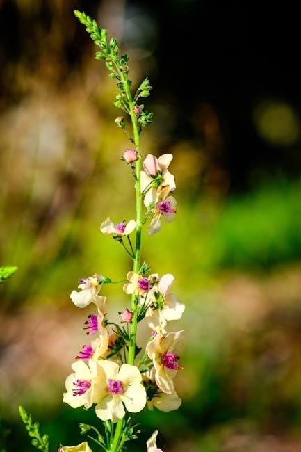 sommets secondaire 3 corrigé pdf chapitre 2